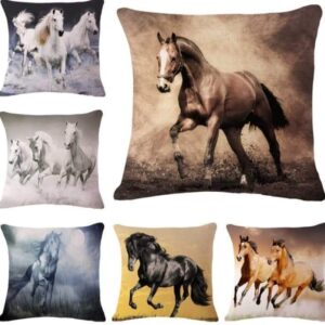 Customized Pillow